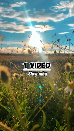 1 video slow màu