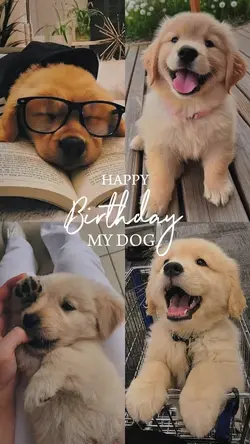 Birthday my dog 🐶 