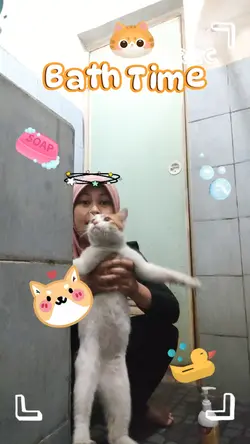 Vlog kucing lucu
