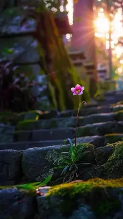 nature vibes estetic