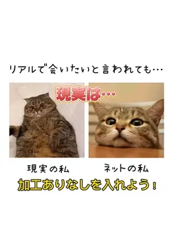 現実はこう😊🥲