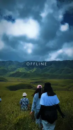 Nature Vibes•Offline