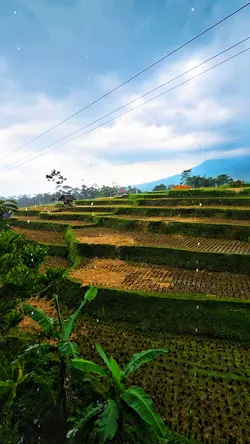 Selalu Di Hatiku