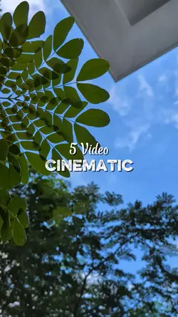 5 Video Cinematic