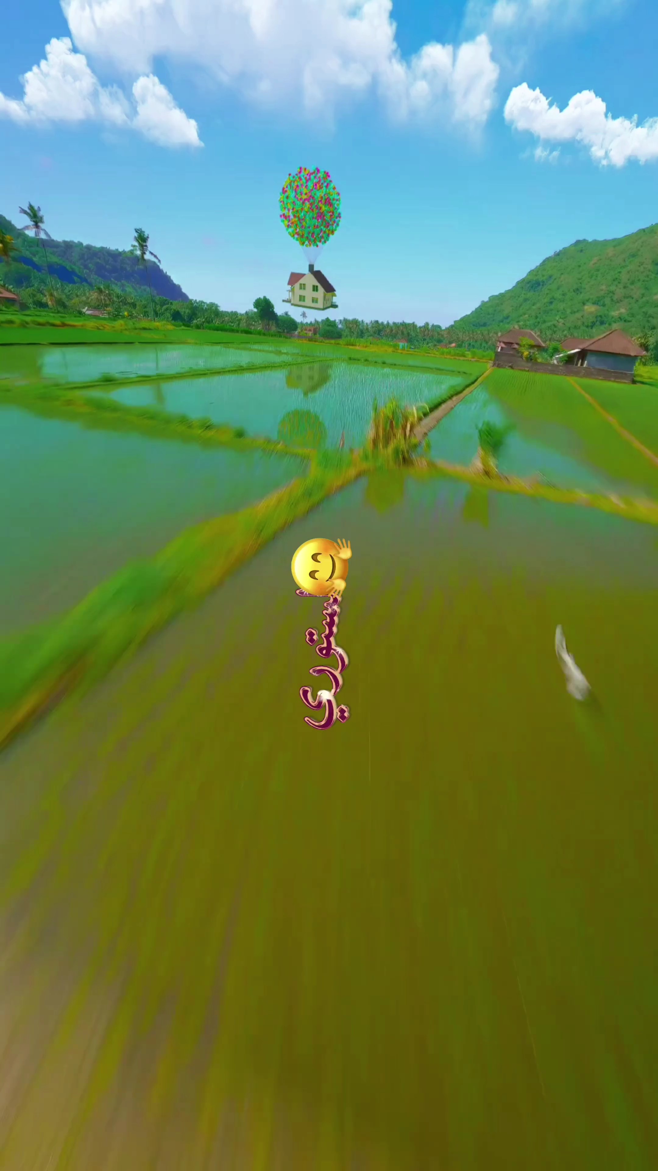 هالستوري لفوفو