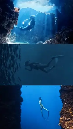CINEMATIC DIVING
