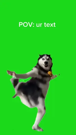 Husky dancing