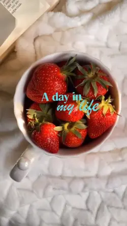 A day in my life