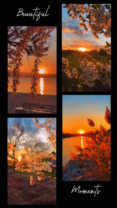 Beautiful Moments
