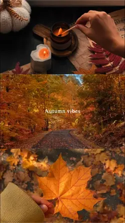 autumn vibes 🤎