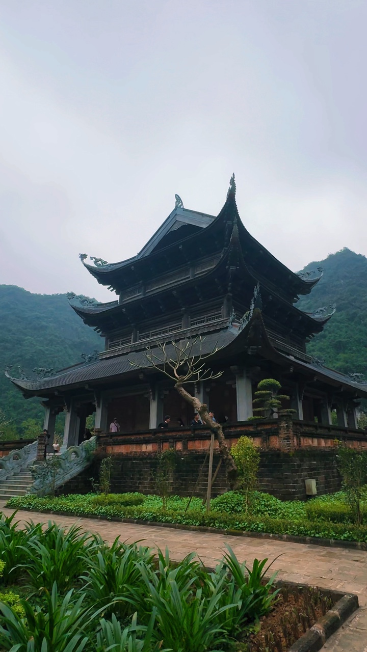 19 video travel
