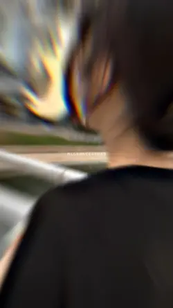 皆んなを連れてくるノアの方舟