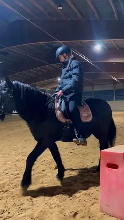 ZERSPLITTER DEIN 🍷4k