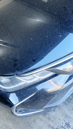 Lavagem automotiva