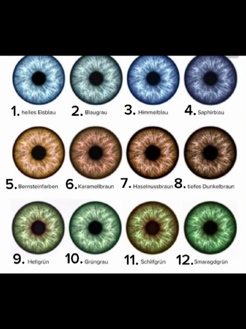 eyes