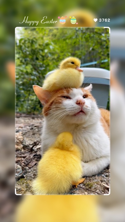 Selamat Paskah 🐣 