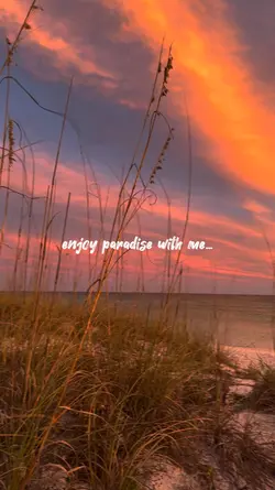 Enjoy Paradise With Me