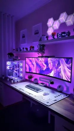 Setup edit transição