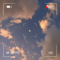 달에 데려가 줘