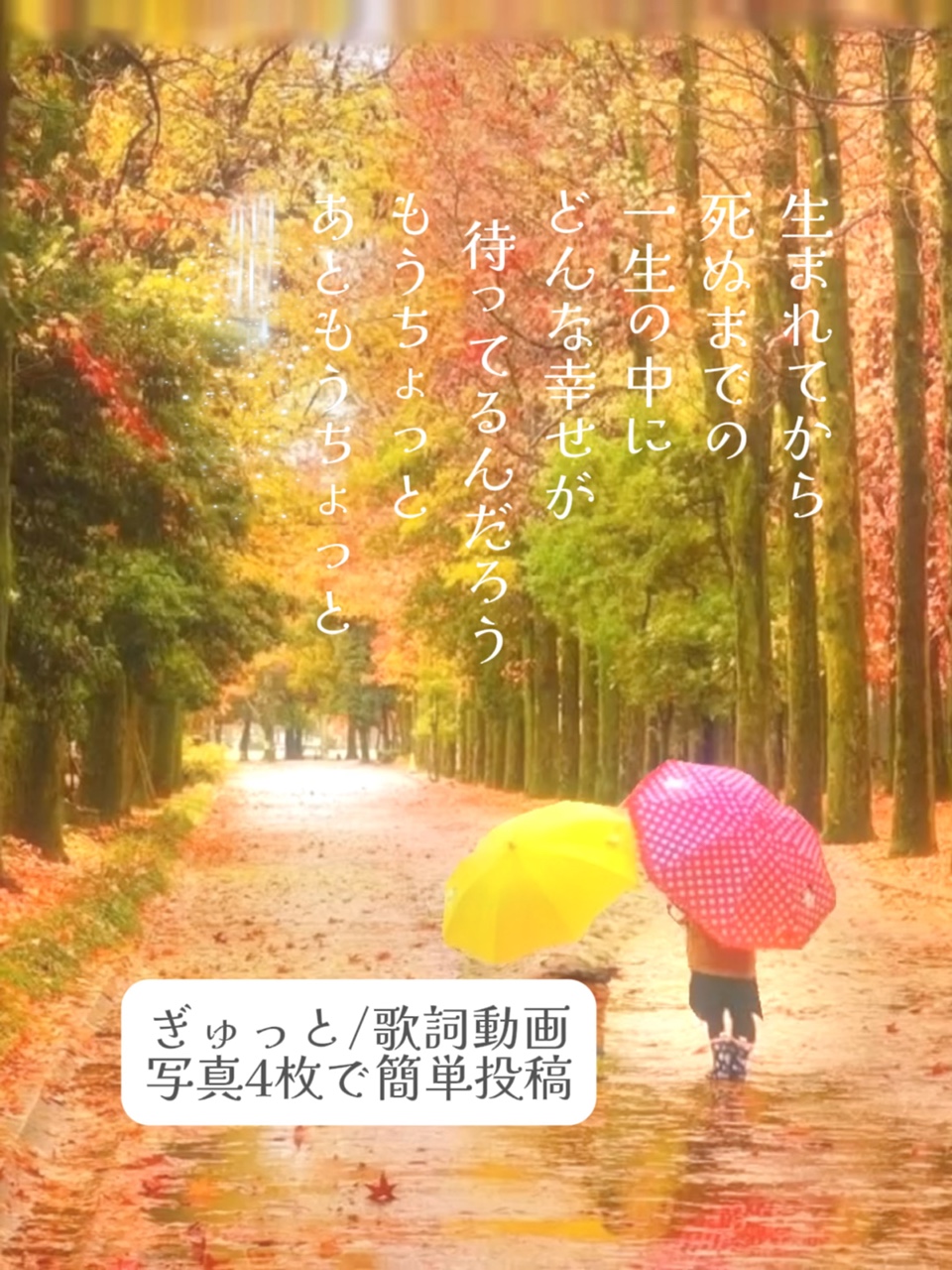 生まれてから死ぬまでの/ぎゅっと