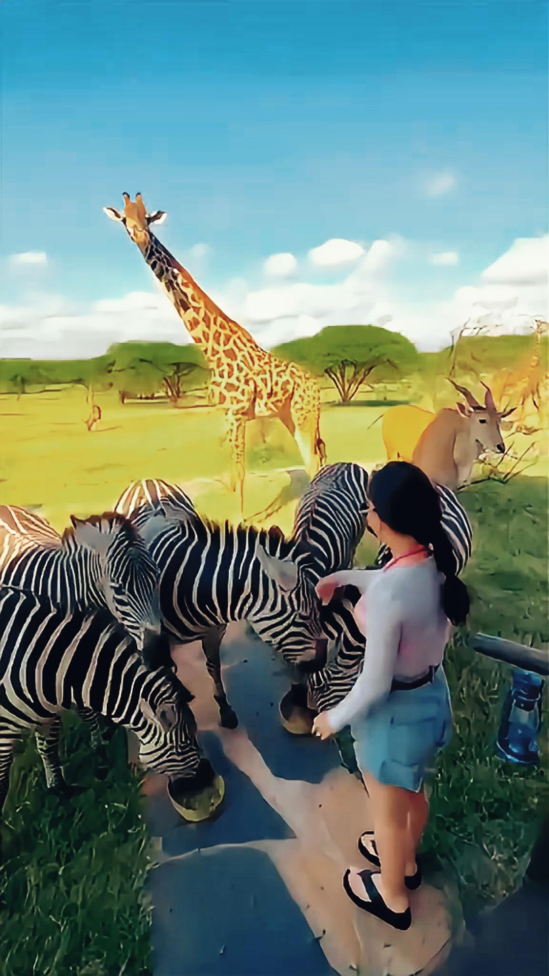 safaritrip