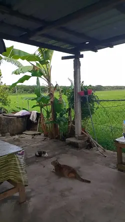 KAMPUNG