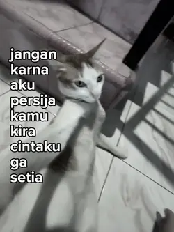 jangn karna aku tren