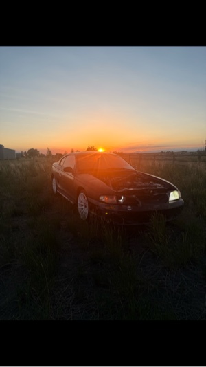SN95