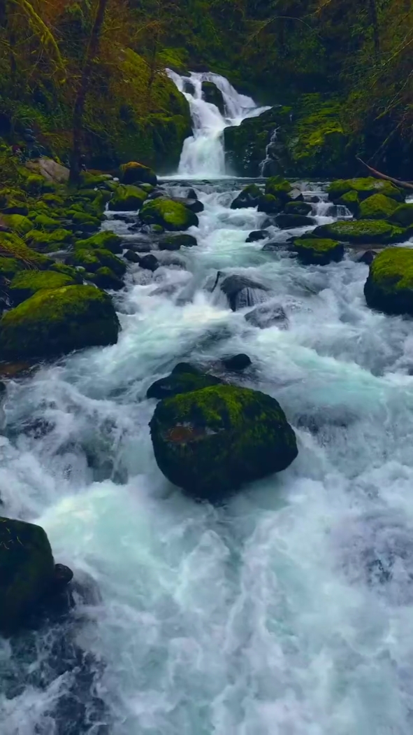 Cascada