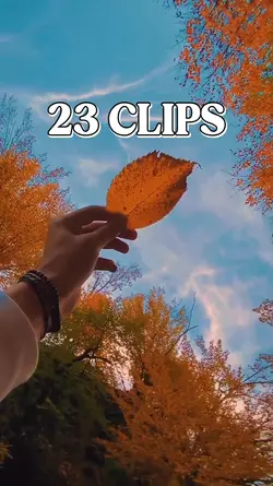 23 clips