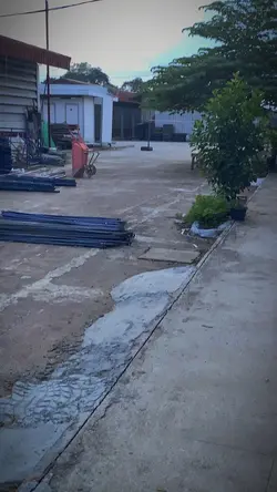 ชีวิตในการทํางาน