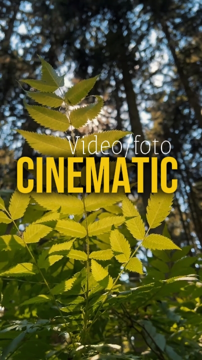 8 Clips Video 