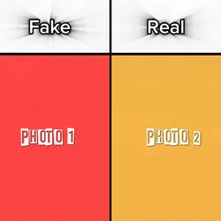 Fake & Real