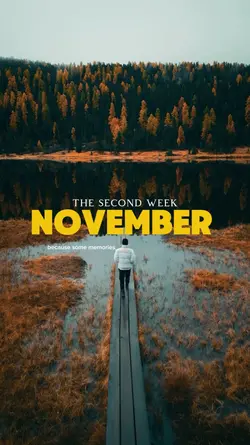 November Story