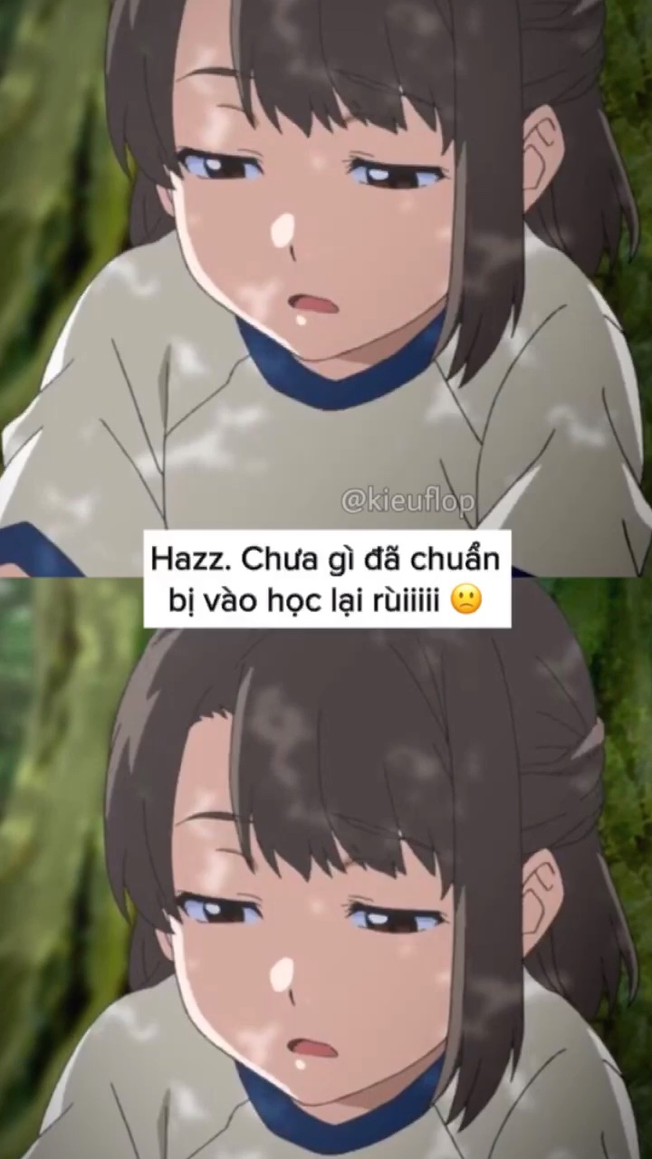 1 ảnh mùa hè 2023