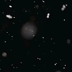 🎶 【 恋 】／質問回答テンプレート