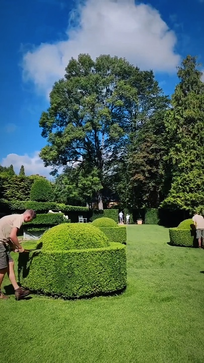 Jardinería