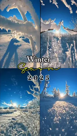 Winter Season 