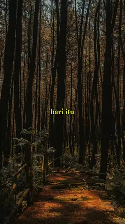 petir dalam hutan