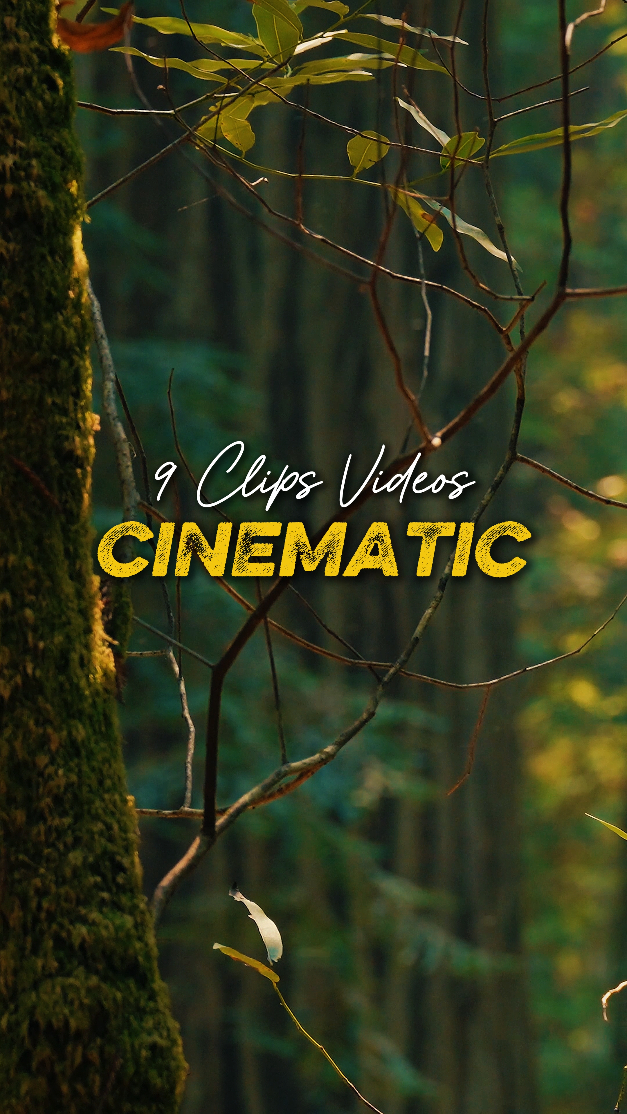 Sinematik 9 Videolar