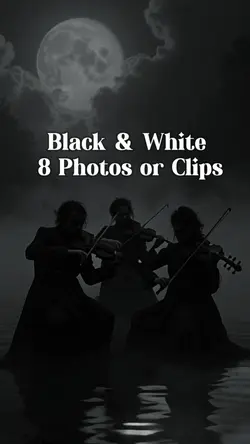 Black & White Mist