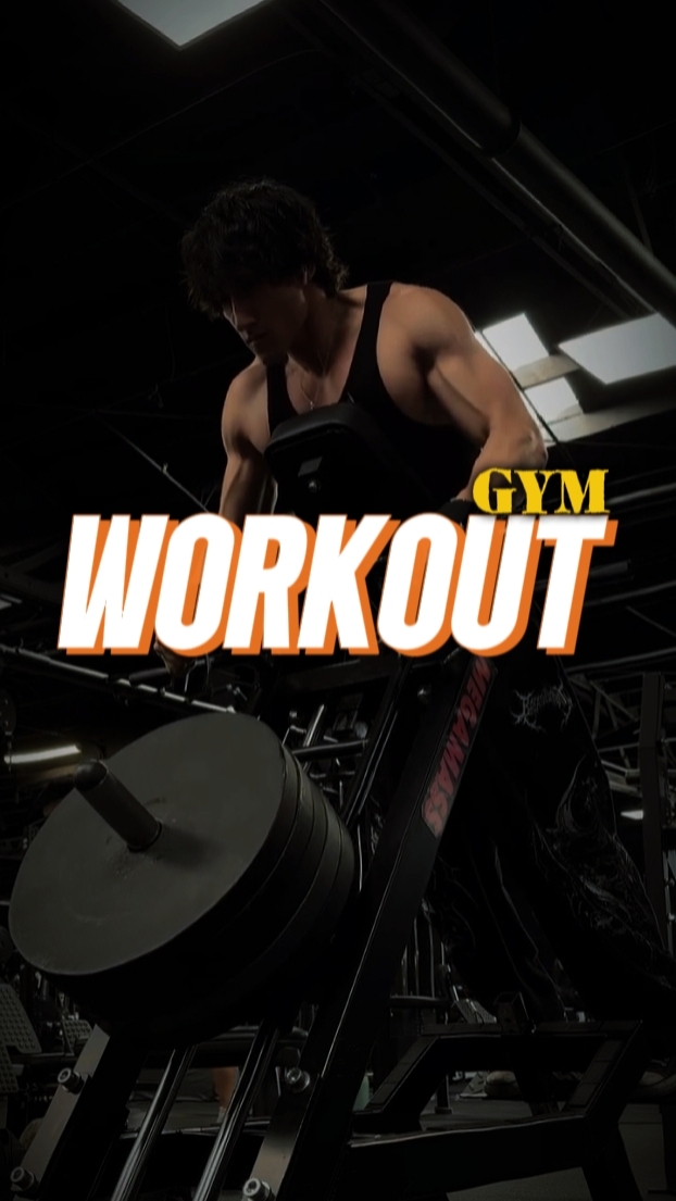 GIMNASIO 4 clips