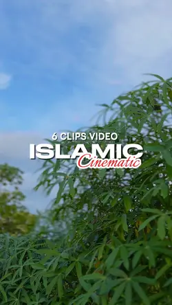 6 CLIPS VIDEO 