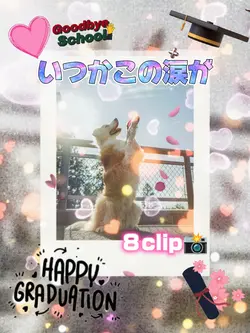 卒業/いつかこの涙が