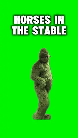 HORSES IN THE STABLE