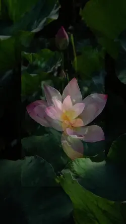 五張照一秒發光,熒光線勾勒你的高光時刻