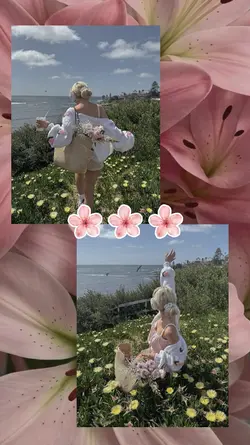 2 pictures aesthetic