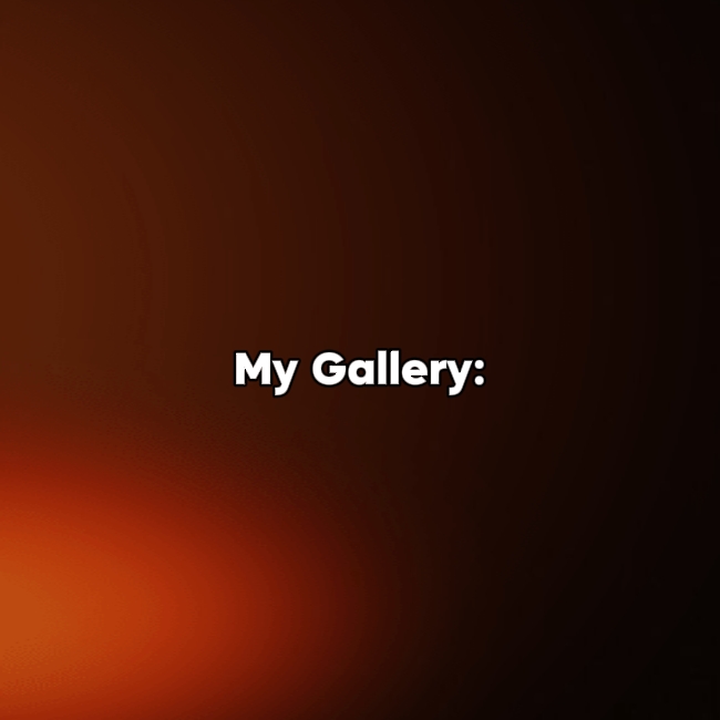 Ma galerie :
