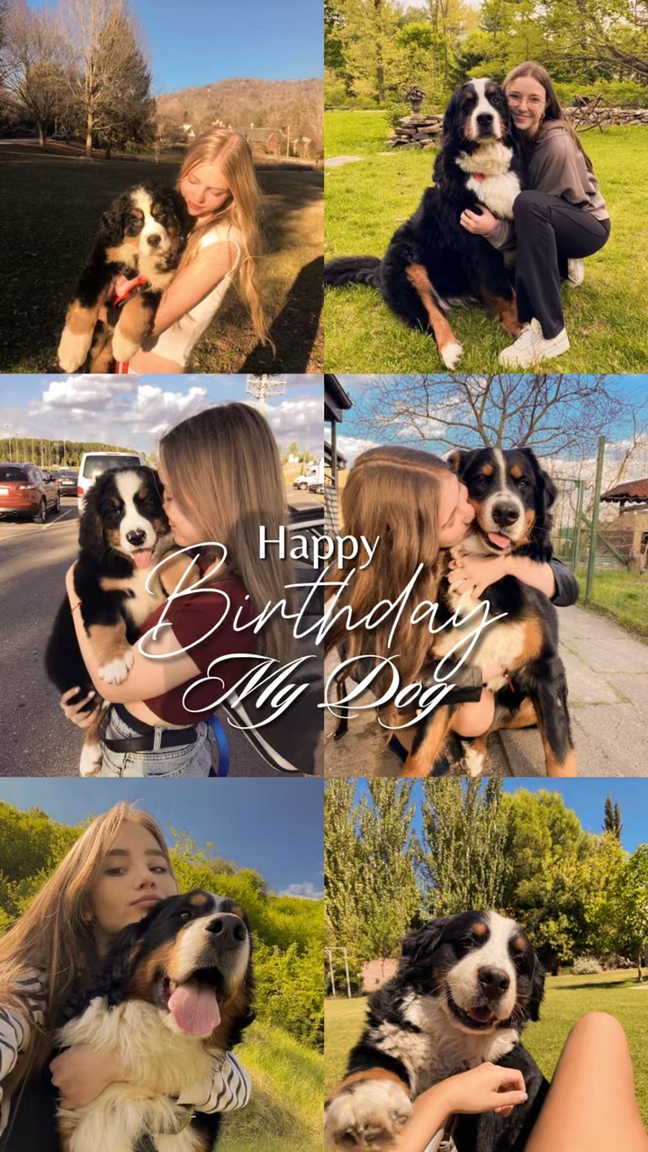 Birthday My Dog 