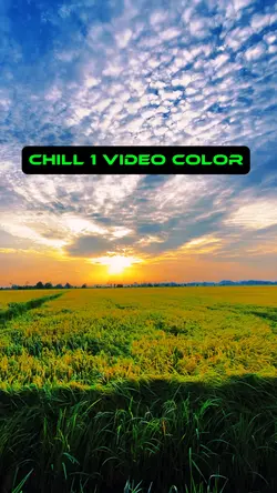 Chill 1 Video Color